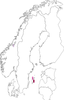 Fyndkarta för Polyblastia nidulans. Datakälla: GBIF