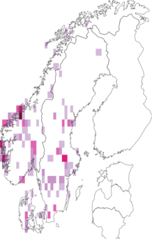 Fyndkarta för grålila vaxskivling. Datakälla: GBIF