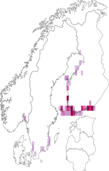Fyndkarta för sältingblomvecklare. Datakälla: GBIF