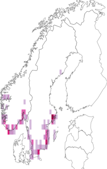 Fyndkarta för rosenoxbär. Datakälla: GBIF