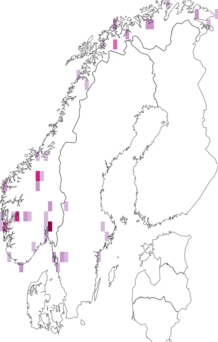 Fyndkarta för Aspicilia gibbosa. Datakälla: GBIF