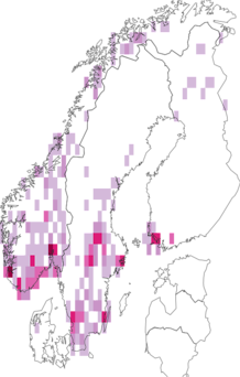 Kaarta Typhlocybinae. Data source: GBIF