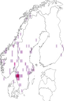 Kaarta Cortinarius croceoconus. Data source: GBIF