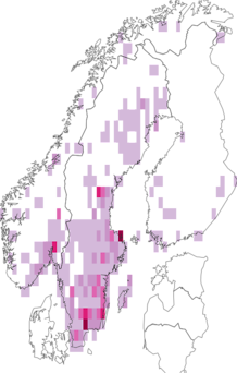 Kaarta Cerylonidae. Data source: GBIF