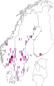 Fyndkarta för Chrysopa. Datakälla: GBIF