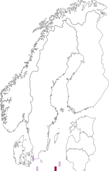 Fyndkarta för Leptocheirus pilosus. Datakälla: GBIF
