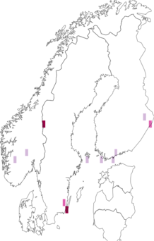 Fyndkarta för norsknoppemal. Datakälla: GBIF
