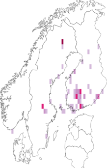 Fyndkarta för Ylodes. Datakälla: GBIF