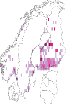 Fyndkarta för fläckig asprullvecklare. Datakälla: GBIF