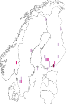 Fyndkarta för Billaea. Datakälla: GBIF