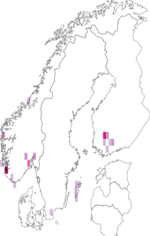 Fyndkarta för mörk bäcklöpare. Datakälla: GBIF