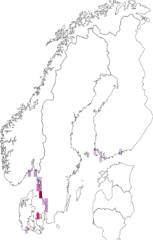 Fyndkarta för kustkämpeblomvecklare. Datakälla: GBIF