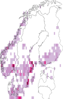 Fyndkarta för skogsknipprot. Datakälla: GBIF