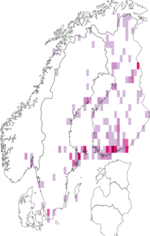 Fyndkarta för Campsicnemus. Datakälla: GBIF