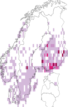 Fyndkarta för svartpunkterat jordfly. Datakälla: GBIF