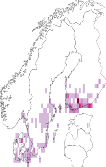 Fyndkarta för svartpunkterat sprötfly. Datakälla: GBIF