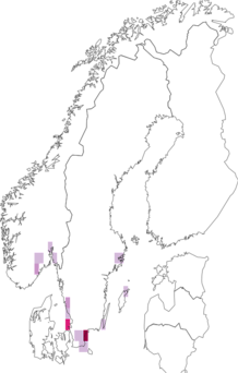 Kaarta Phlegra fasciata. Data source: GBIF