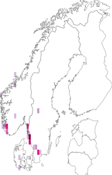 Fyndkarta för atlantvitmossa. Datakälla: GBIF