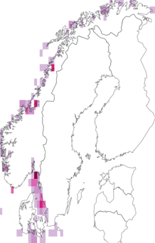 Fyndkarta för havsanemoner. Datakälla: GBIF