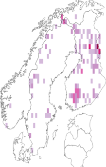 Fyndkarta för nordlig grimmia. Datakälla: GBIF