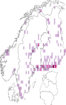 Kaarta Diopsoidea. Data source: GBIF