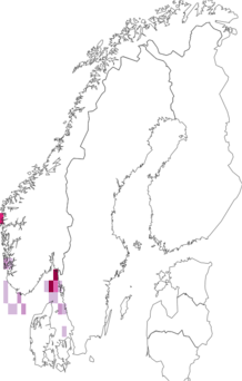 Fyndkarta för Echinacea. Datakälla: GBIF