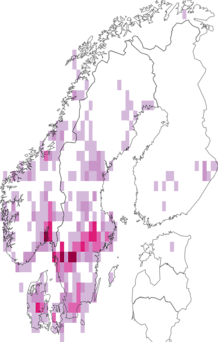 Fyndkarta för rödmusslingar. Datakälla: GBIF