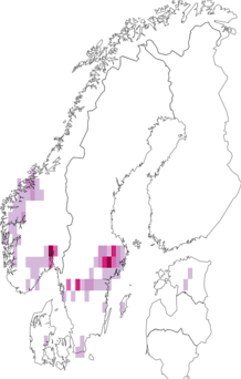 Fyndkarta för Auricularia. Datakälla: GBIF