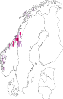 Fyndkarta för Biatora toensbergii. Datakälla: GBIF