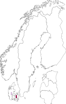 Fyndkarta för Hyphodontia flavipora. Datakälla: GBIF