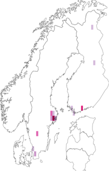 Fyndkarta för marsflickblomfluga. Datakälla: GBIF