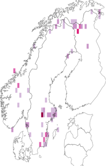 Fyndkarta för vithuvad stävmal. Datakälla: GBIF