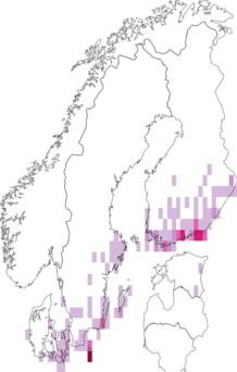 Fyndkarta för svartfläckat glansfly. Datakälla: GBIF