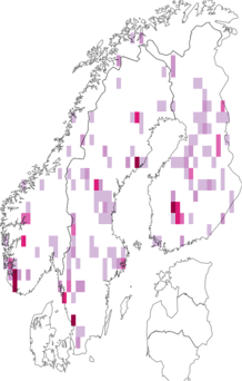 Kaarta kallioahmansammal. Data source: GBIF