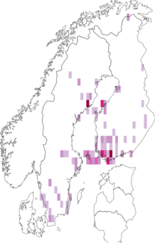 Fyndkarta för Nemestrenoidea. Datakälla: GBIF
