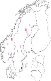 Fyndkarta för Corticaria saginata. Datakälla: GBIF