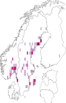 Fyndkarta för skogsgräshoppa. Datakälla: GBIF