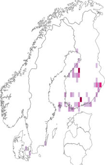 Kaarta Heliozela hammoniella. Data source: GBIF