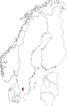 Kaarta rönsytiarella. Data source: GBIF