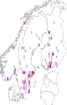 Fyndkarta för ungersk syren. Datakälla: GBIF