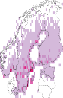 Fyndkarta för rosenfink. Datakälla: GBIF