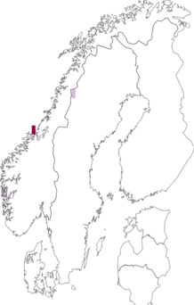 Fyndkarta för Collema callopismum. Datakälla: GBIF