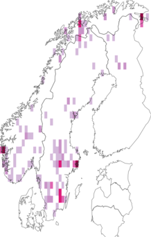 Fyndkarta för blåbärsbrokvecklare. Datakälla: GBIF