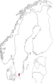 Fyndkarta för långbladig berberis. Datakälla: GBIF