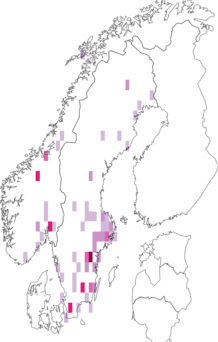 Fyndkarta för Corticaria serrata. Datakälla: GBIF