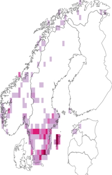 Fyndkarta för vitskivlav. Datakälla: GBIF
