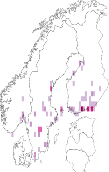 Fyndkarta för Euthycera. Datakälla: GBIF