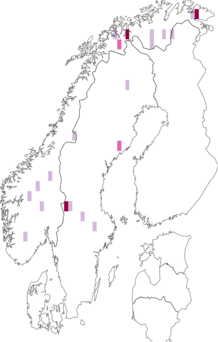 Fyndkarta för Epilichen glauconigellus. Datakälla: GBIF