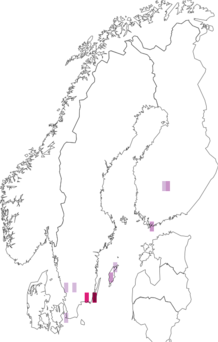 Fyndkarta för sabelliljor. Datakälla: GBIF