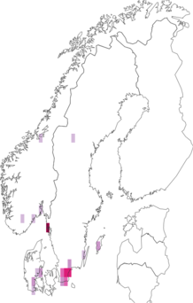 Fyndkarta för lilafotstråding. Datakälla: GBIF